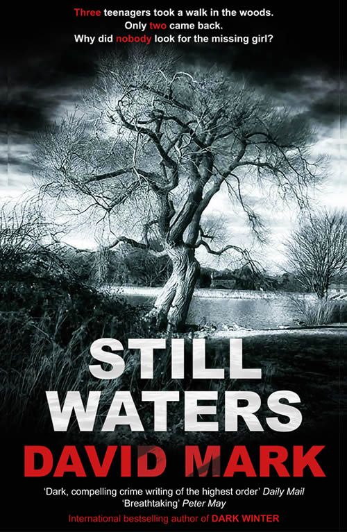 Still Waters by David Mark