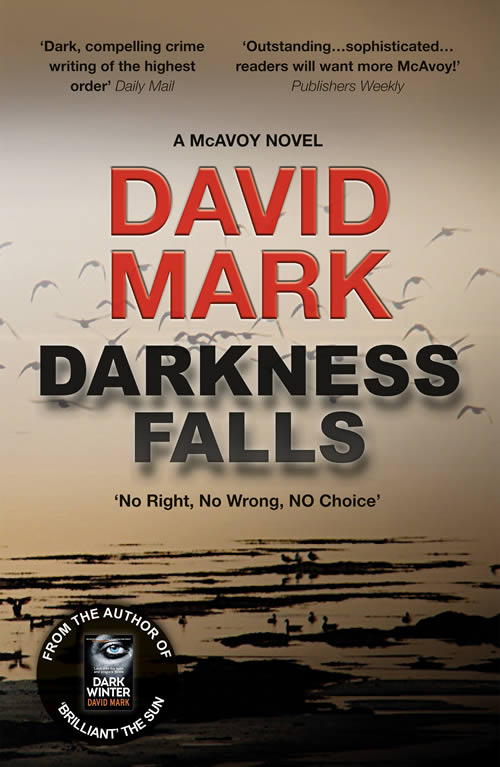 The cover of the book 'Darkness Falls: McAvoy Prequel' by David Mark
